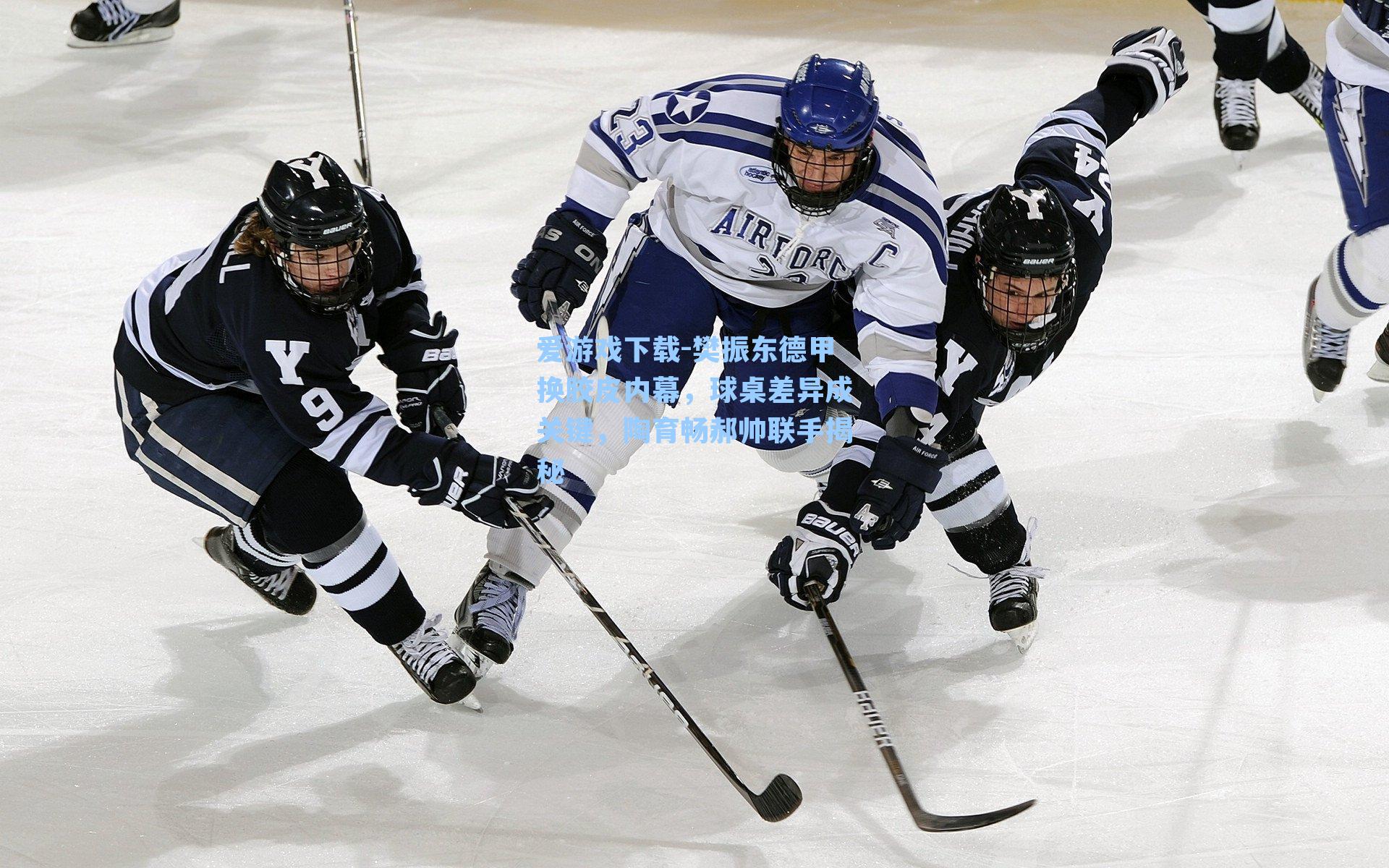 樊振东德甲换胶皮内幕，球桌差异成关键，陶育畅郝帅联手揭秘